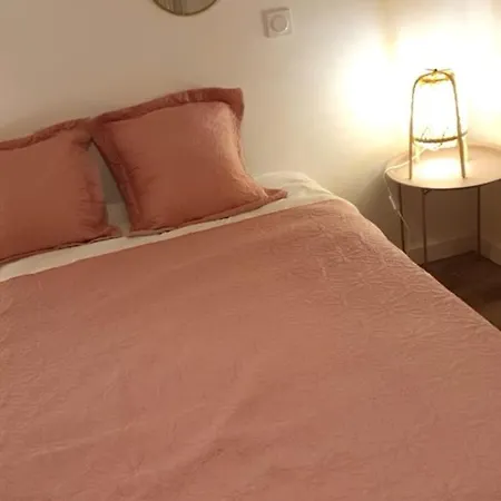 Bel Confort Et Cosy Centre-ville Apartmán Vichy