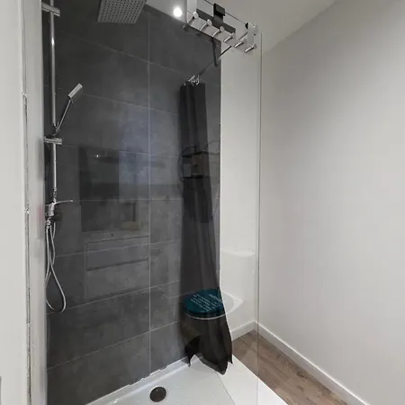 J1 Lumineux, Cosy, Proche Gare, Thermes Daire *