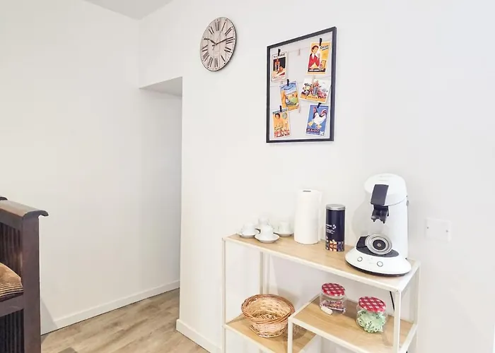 J1 Lumineux, Cosy, Proche Gare, Thermes Apartment Vichy