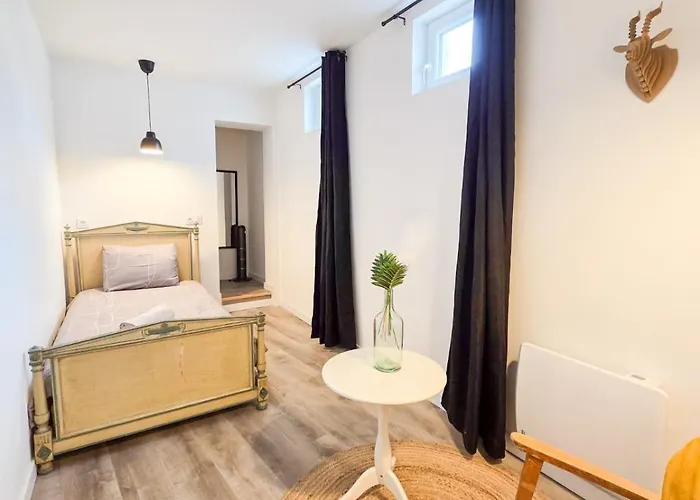 J1 Lumineux, Cosy, Proche Gare, Thermes Vichy