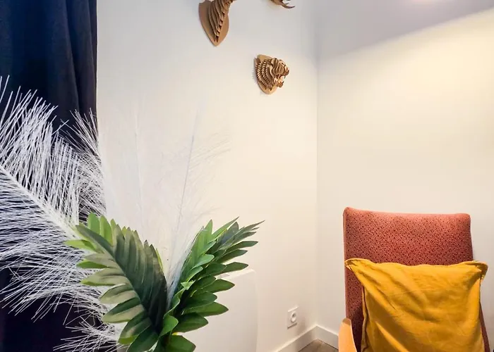 J1 Lumineux, Cosy, Proche Gare, Thermes Vichy